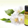 Jasmin huile essentielle 10ml